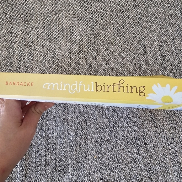 Mindful Birthing by Nancy Bardacke, CNM - Picture 4 of 4